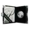 Platinum American Eagle Proof