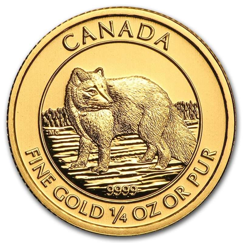 Gold Arctic Fox Coin Precious Metals Allegiance Gold   Front Arctic Fox 800x800 