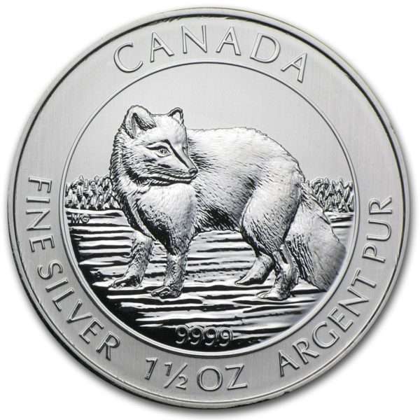Silver Arctic Fox