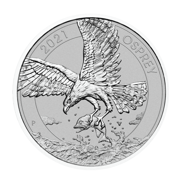 platinum osprey front no background