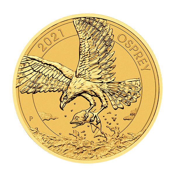 gold osprey front no background