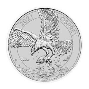 silver osprey front no background