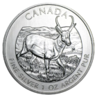 Silver Canadian Antelope